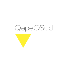 Logo de QAPE O Sud